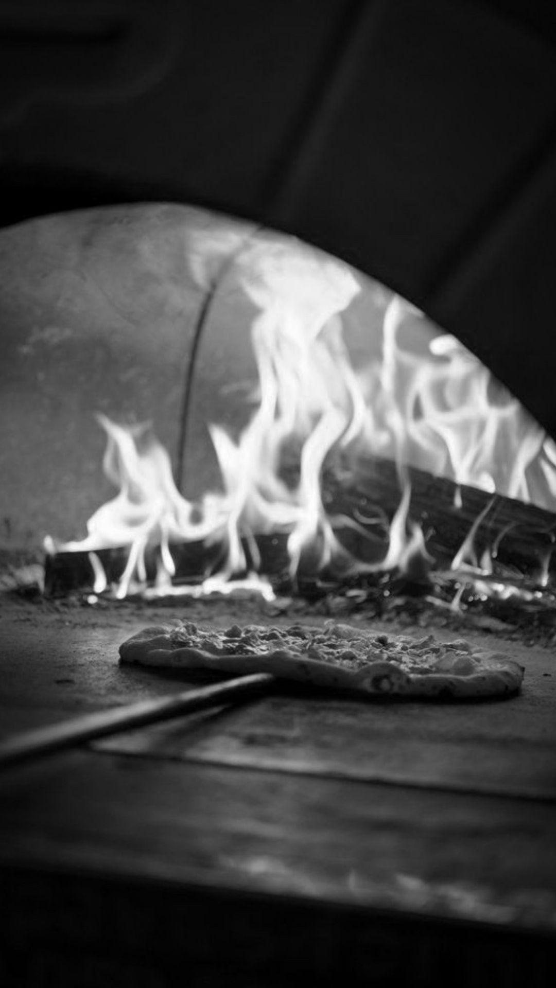 Neapo Website Concept Image - 19